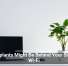 Houseplants Might Be Behind Your Sluggish Wi-Fi